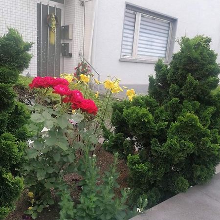Ferienwohnung Gabry سارلويس المظهر الخارجي الصورة