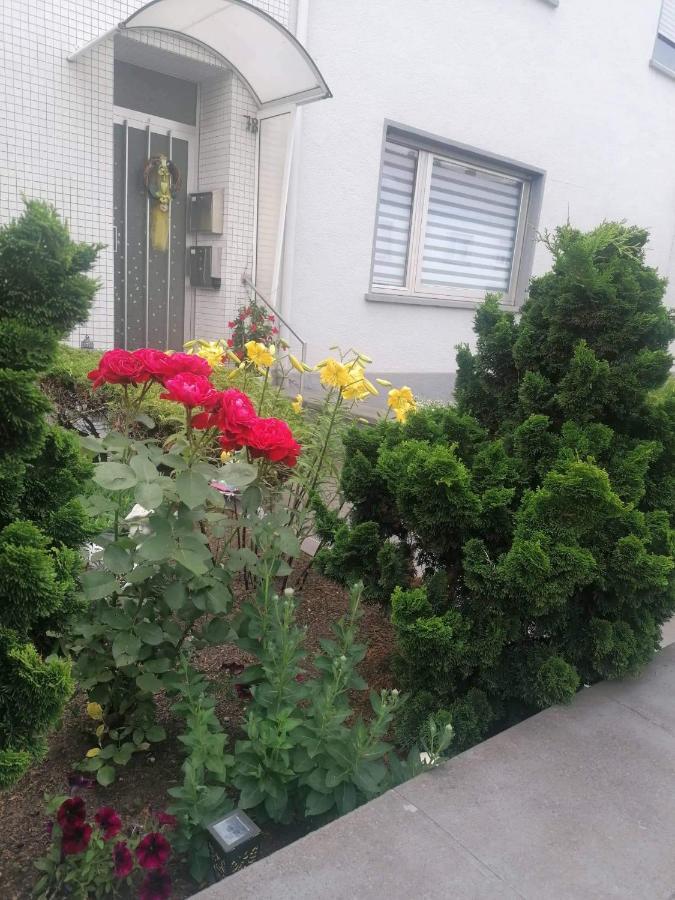 Ferienwohnung Gabry سارلويس المظهر الخارجي الصورة